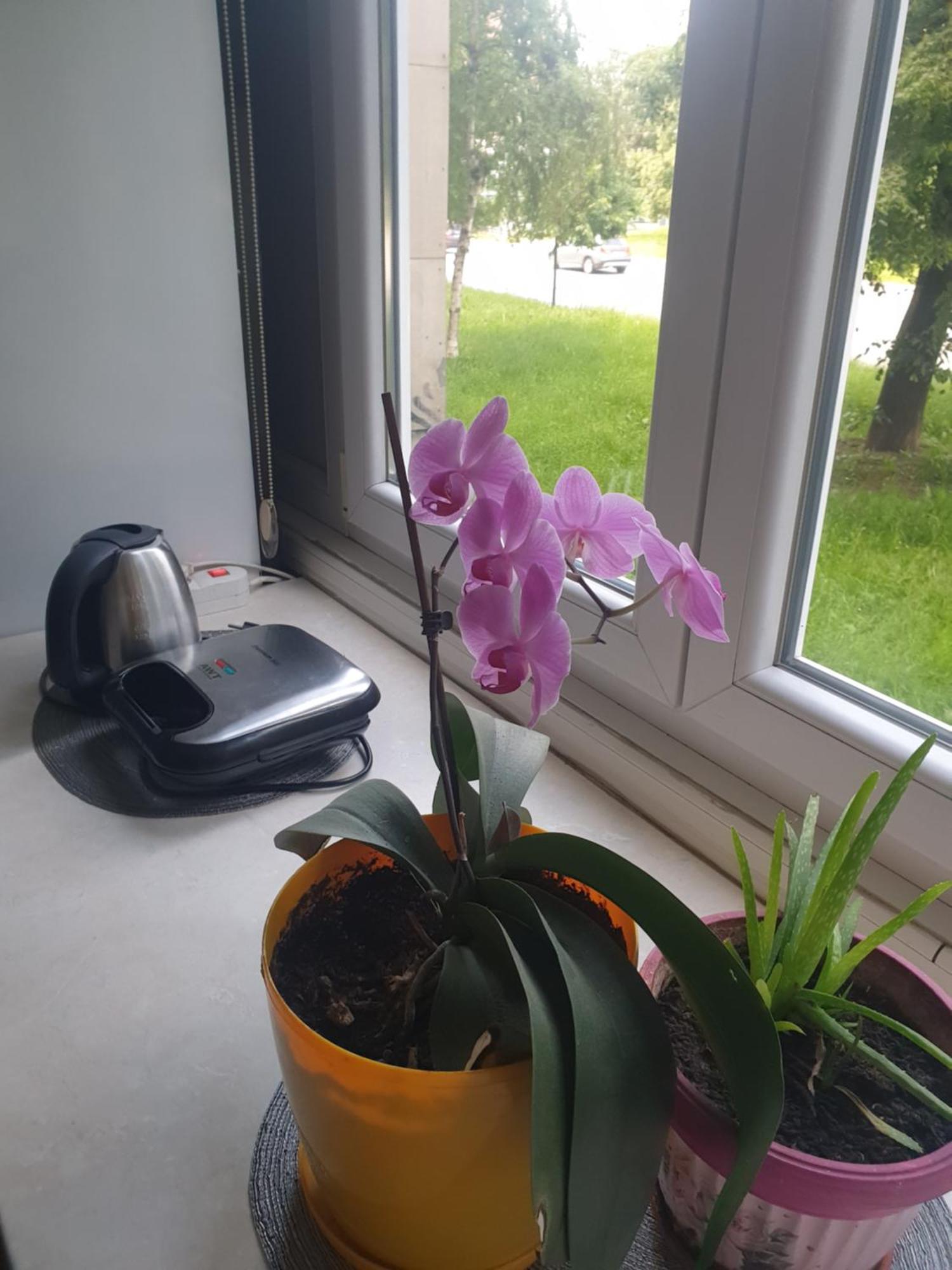 apartman oli Saraybosna Dış mekan fotoğraf